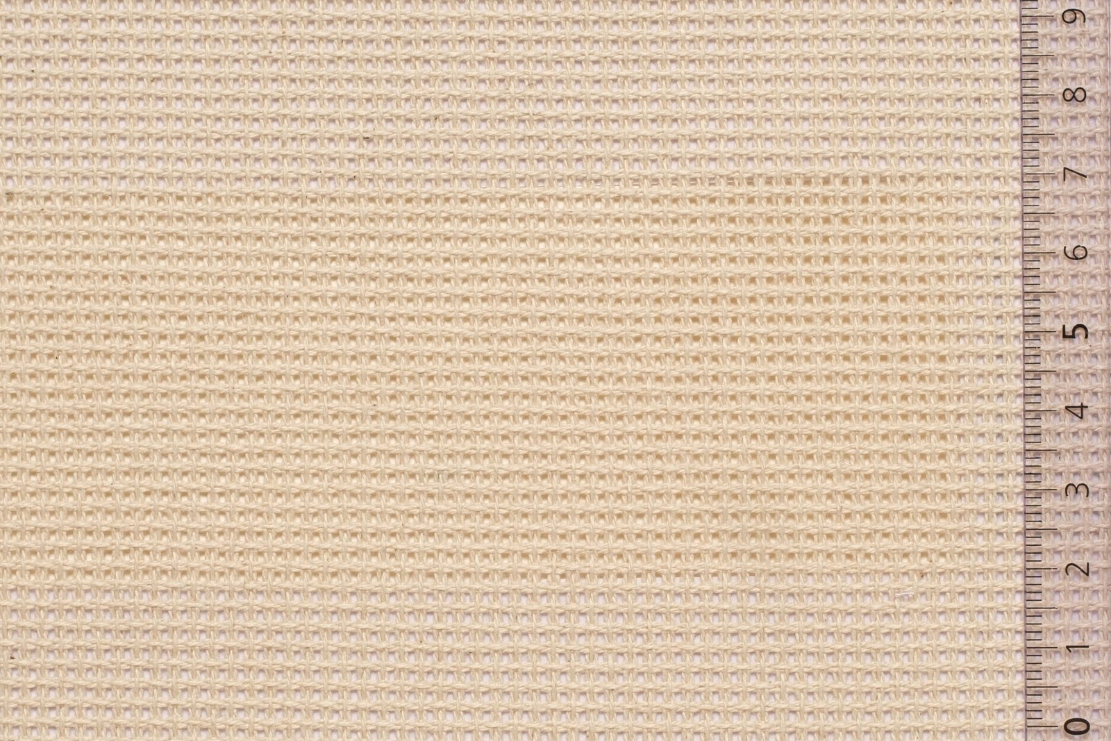 06KNOKOL40ECRxxxCOT[KNOSOS 40](ECRU)F